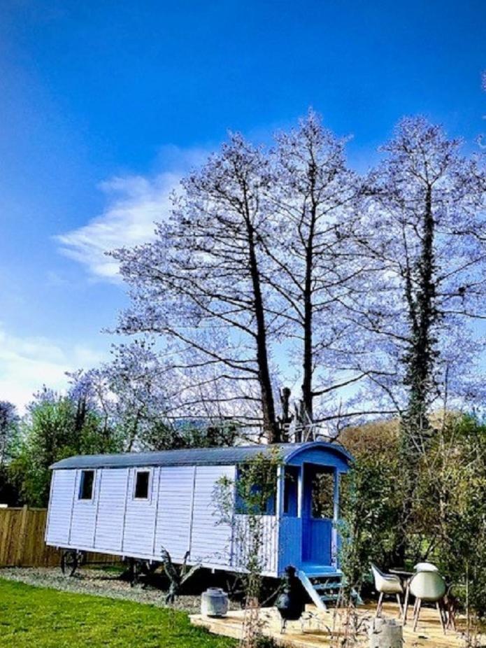 Willow Valley Bude Dış mekan fotoğraf