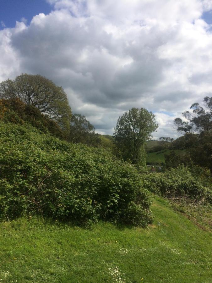 Willow Valley Bude Dış mekan fotoğraf