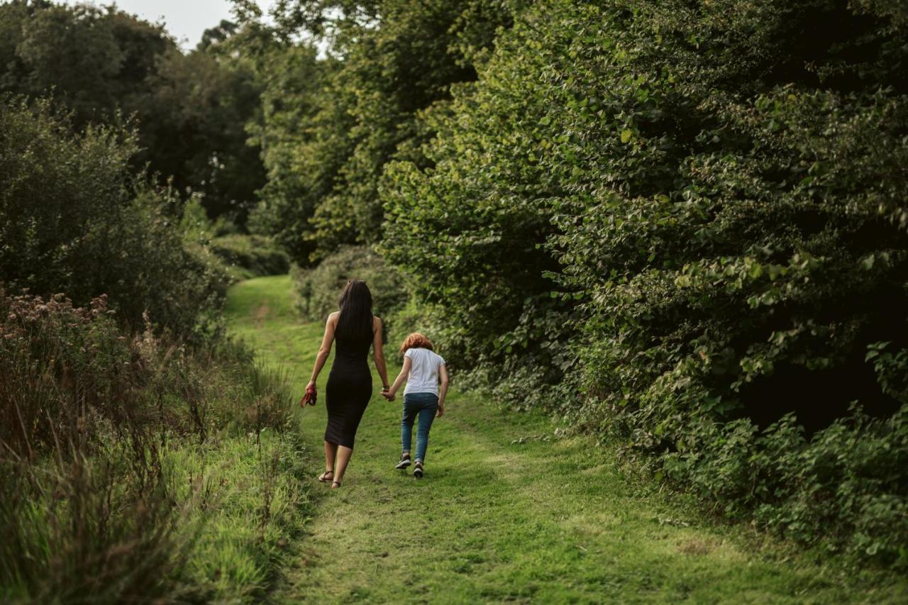 Willow Valley Bude Dış mekan fotoğraf
